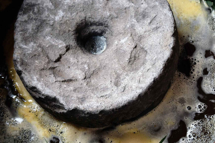 漬物のように漬ける　山あいの家々に伝わる乳酸発酵茶