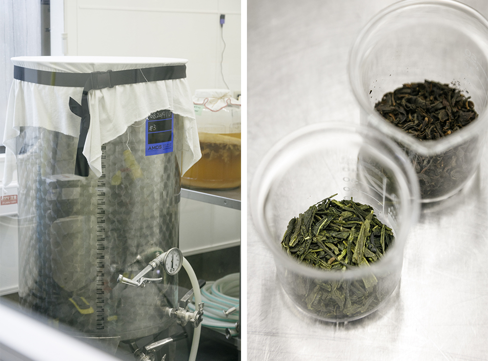 (写真左)発酵にはドイツ製のワイン用タンクを使用。布をかぶせ、開放した状態で1~2週間ほど発酵させる。 (写真右)国産の緑茶は海外から視察に来たコンブチャ関係者から、よく製造元を聞かれるそう。