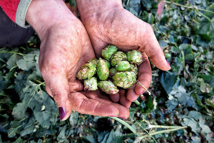 Produrre le birre convivendo con la natura con una prospettiva a lungo termine  