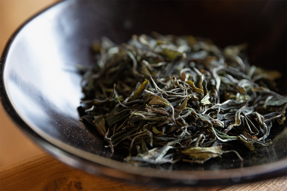 白茶「白露」の茶葉。揉捻(じゅうねん:茶葉を揉むこと)の工程を経ずに仕上げるため、茶葉の形が残る。