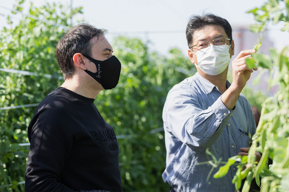 土壌についての説明を受けながら、「ワインのブドウ畑の話を聞いているよう」と感慨深げな仏伊出身のシェフ2人。生産者の川西さんを交え、うすいえんどうのポテンシャルを引き出す料理像についても話が弾む。