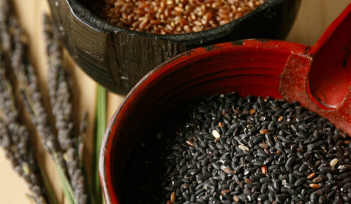 WILD RICE