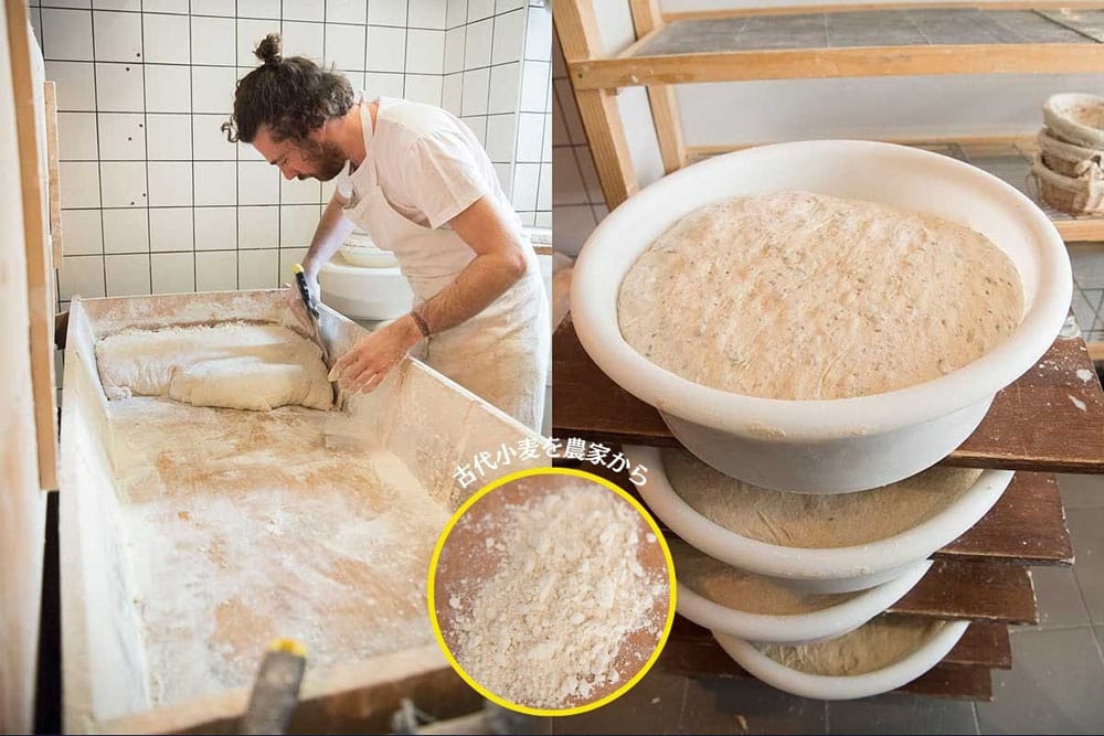(写真左)ビュシさんの父親が作った木の捏ね台で生地を捏ね、大きく分割する。 (写真右)常温で一次発酵中の種子入りパンの生地。この間に2回、パンチを行う。使うのは農家から届く古代小麦プティ・エポートルなどの粉。