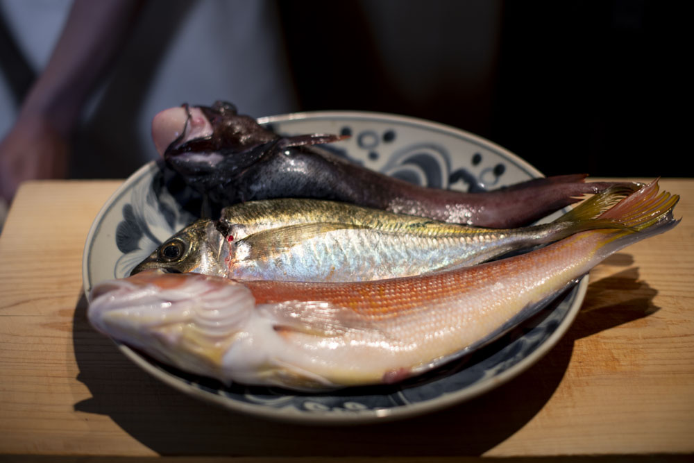 本日、前田さんから仕入れた魚。(奥から手前)かぶら蒸しにする、どんこ。炊き立てのご飯にのせたり、酢の物にするアジ。焼き物にする赤アマダイ。どれもハリがあって美しい。