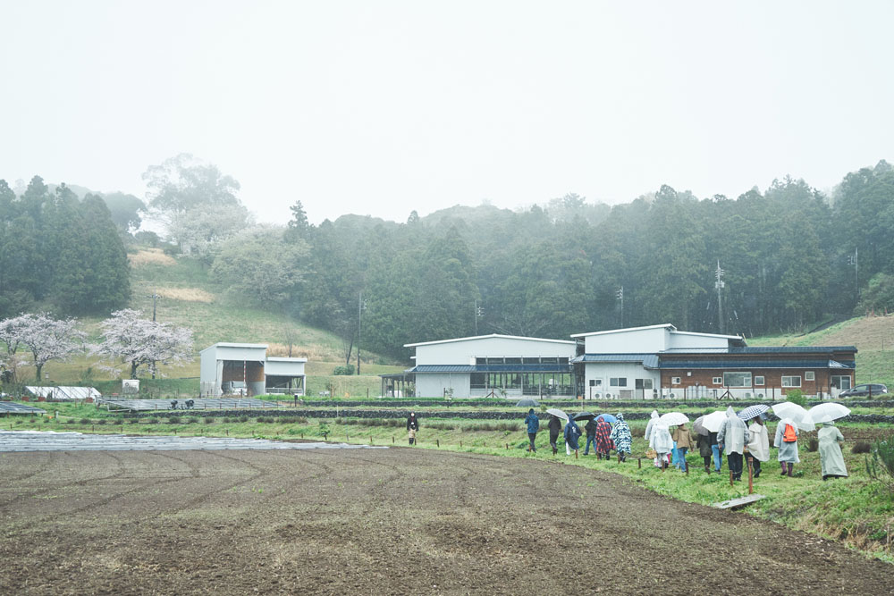 ぬかるみに気を付けながら食べられる山野草を探す1時間ほどの散策を終え、ランチ会場へ。