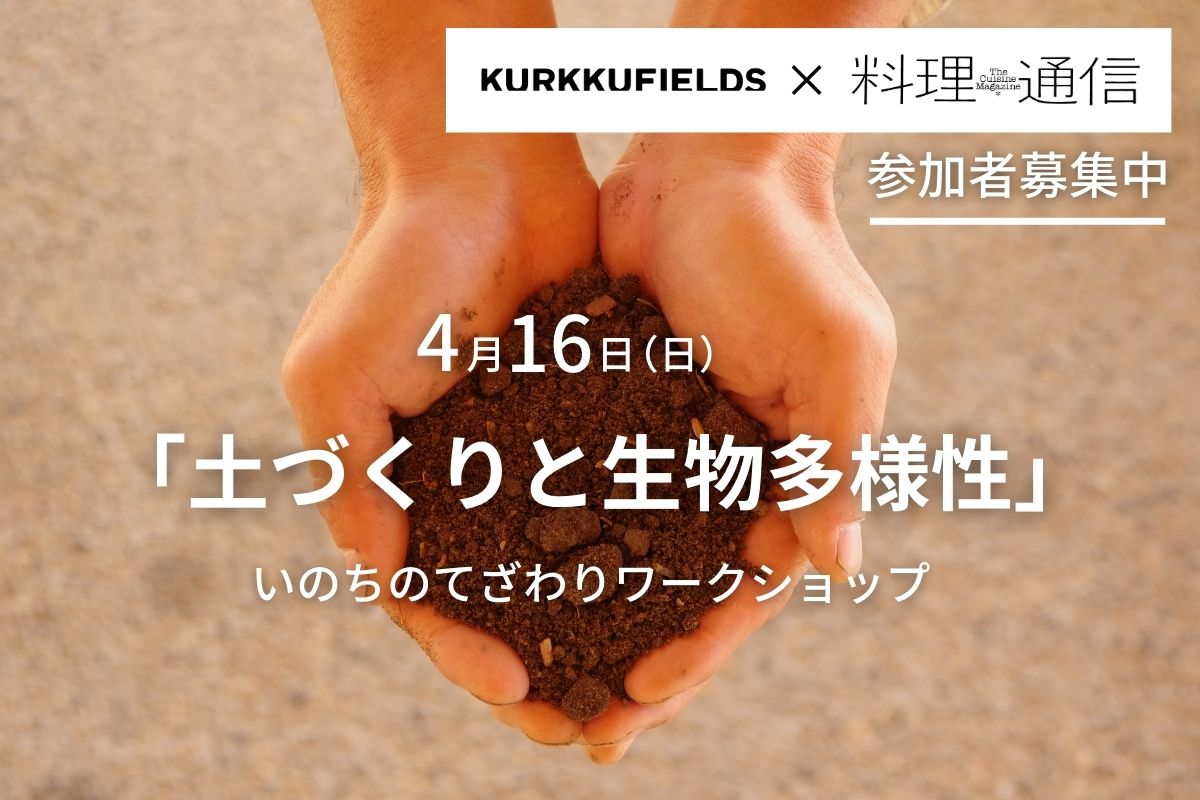 kurkku告知用 - 4