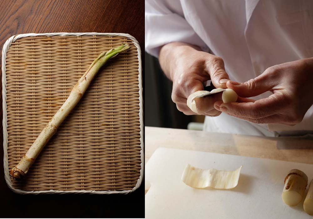 スーパーで買える山菜使いこなし術【ウド1本を余すことなく味わい分ける】