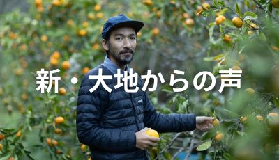 南房総で自給自足＆セルフビルドな暮らしを求めて。