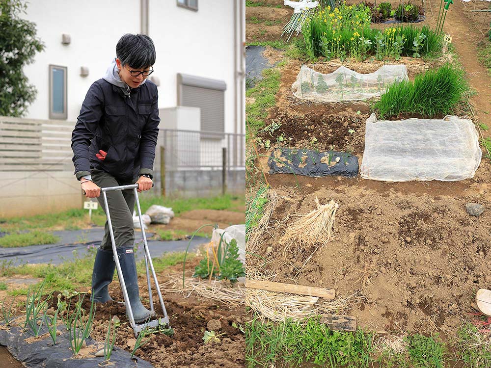 畑を「福畑」と命名。福永麻子さんの畑仕事2年生