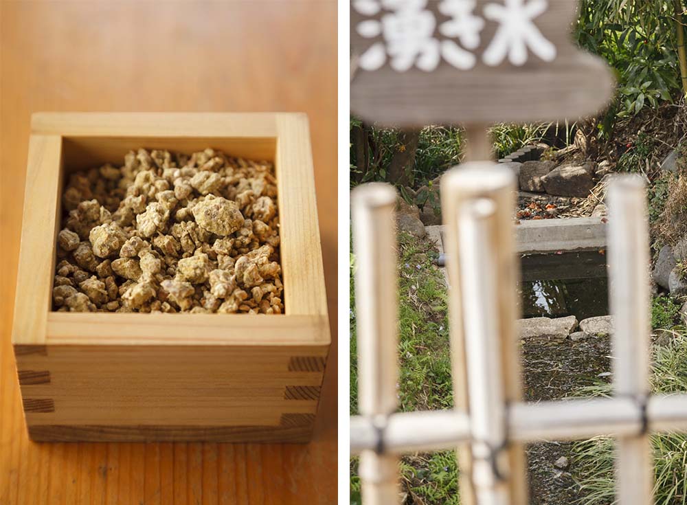 (写真左)大豆と小麦、麹菌が混ざった状態。これを桶に入れ塩水と合わせて仕込みが完了する。 (写真右)伏流水や湧き水の出るところに昔からの醤油蔵は建つ。醤油造りにも水の恵みは欠かせない。