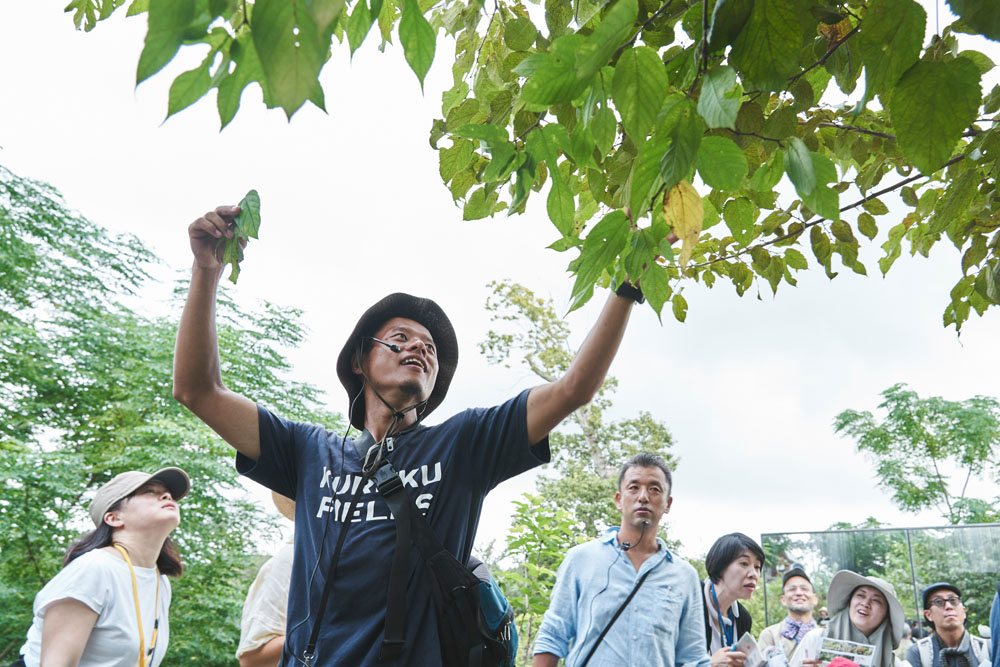 ヒメコウゾの葉を取って見せる吉田和哉さん。「1本の木に数種類の形の葉が繁ります。開花は春。ミツバチだけじゃなくて、いろんな虫が集まります」