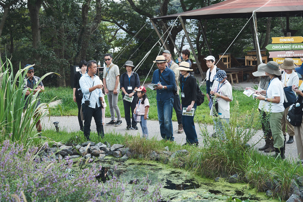 森に入る前にビオトープ周辺を観察。「ミツバチの3大栄養源は、花蜜、花粉、水。花蜜で炭水化物を、花粉でタンパク質を摂取します。それらを利用するのに欠かせないのが水なんです。蜜源の近くに水があるのは重要です」