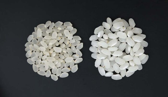 INOCHI NO ICHI’ RICE