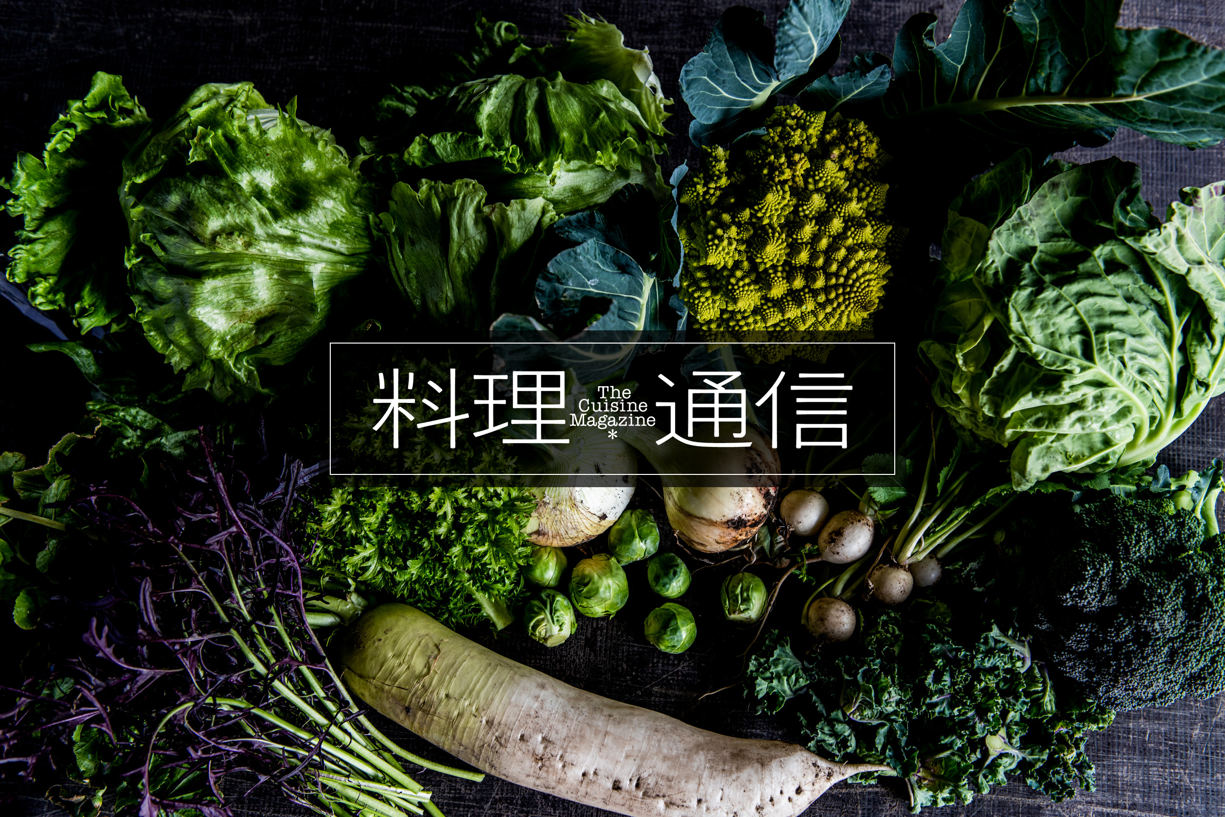 料理通信