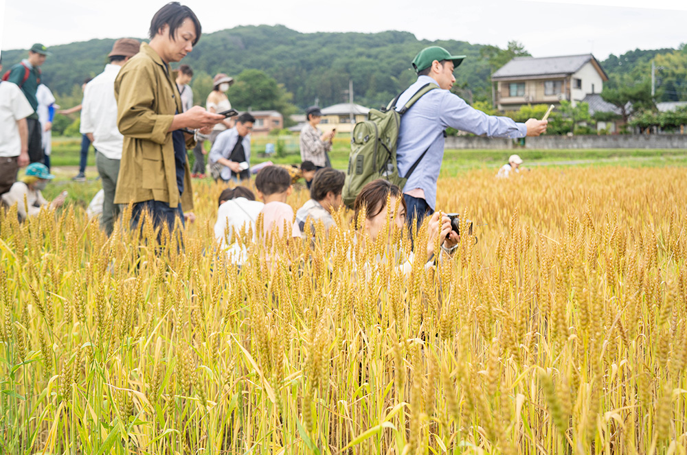 新麦コレクションでは、小麦畑の見学会を実施。埼玉県ときがわ町のTOFU、小川町の下里ゆうきの小麦畑をパン職人やパティシエたちが訪ねた。写真提供:新麦コレクション