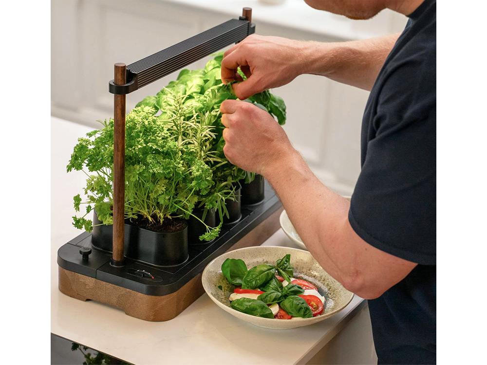 コンパクトな「アウク・ミニ(Auk Mini)」。縦21 ・横 45 cm、4個の植物ポット用。スタートパッケージは2種類の種と土代わりのココナッツファイバー、6カ月分の養分が付いて2699ノルウェー・クローネ。水タンクはなく、台座内の容器に直接、水と栄養剤を入れる。