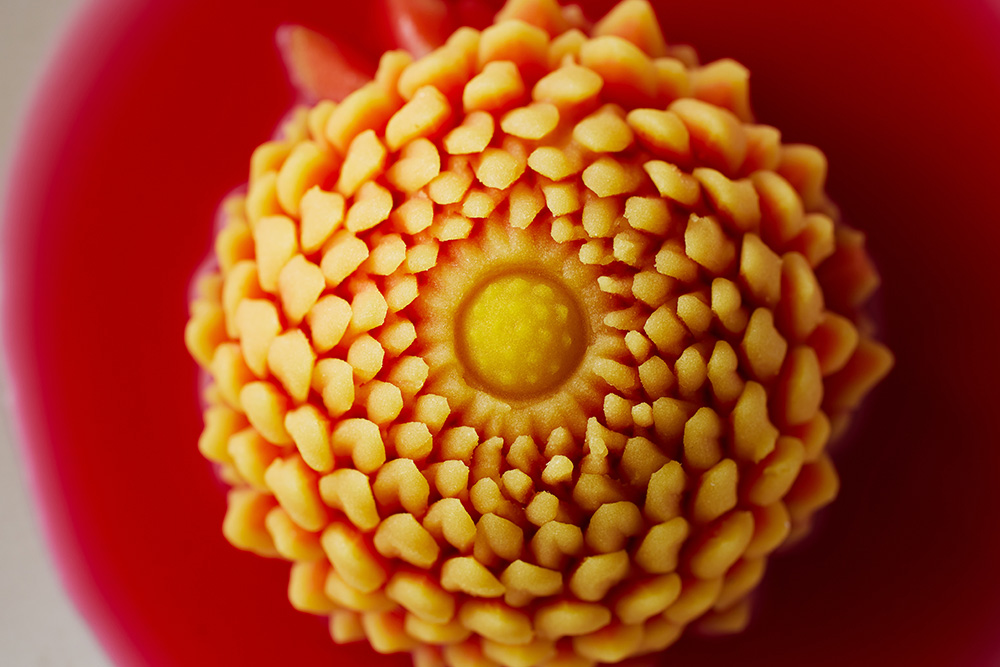 世界に共有したい日本発の食のリスト「EARTH FOODS 25」を多文化シェフはどう料理する?大阪・関西万博リポート