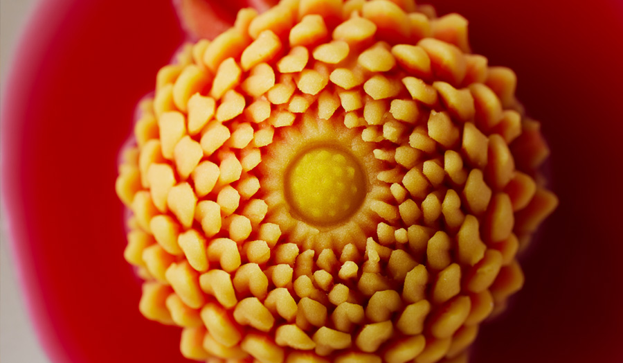 世界に共有したい日本発の食のリスト「EARTH FOODS 25」を多文化シェフはどう料理する?