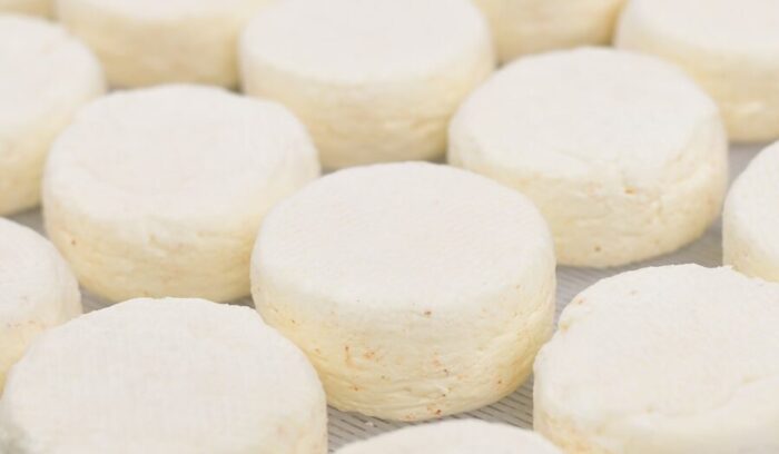 山地酪農で育てた野草牛の生乳の味<br />
岩手「田野畑山地酪農牛乳 milk port NAO」