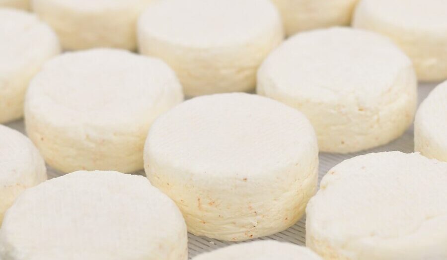 山地酪農で育てた野草牛の生乳の味<br />
岩手「田野畑山地酪農牛乳 milk port NAO」