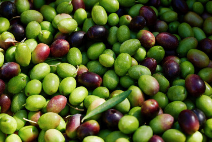 個性か世界基準か。新・“ジャパニーズオリーブオイル”の味を探して。