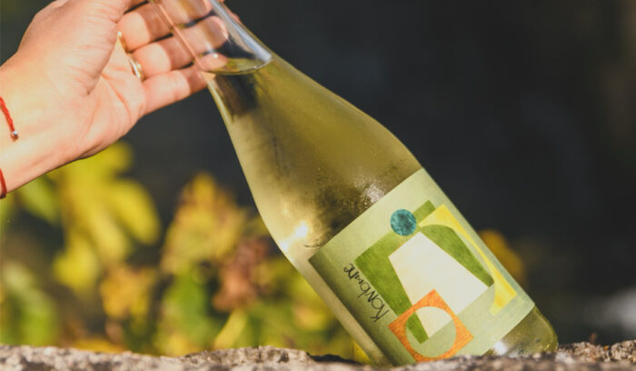 醸造家と発酵の専門家がコラボ。コンブチャで造る低アルコールワイン