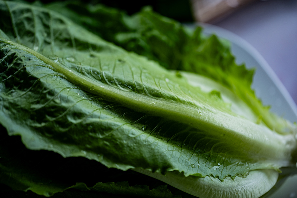 ロメインレタス