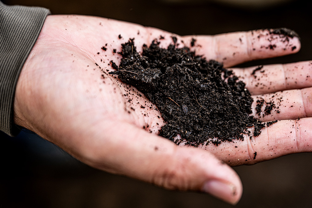 堆肥を混ぜた土作り