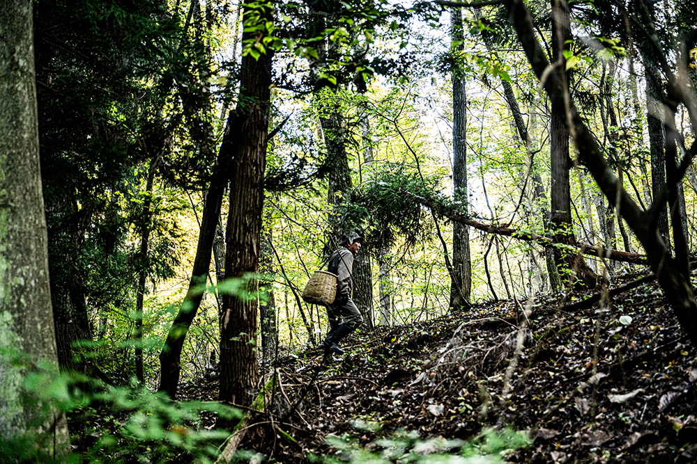 山を歩く丸山さん