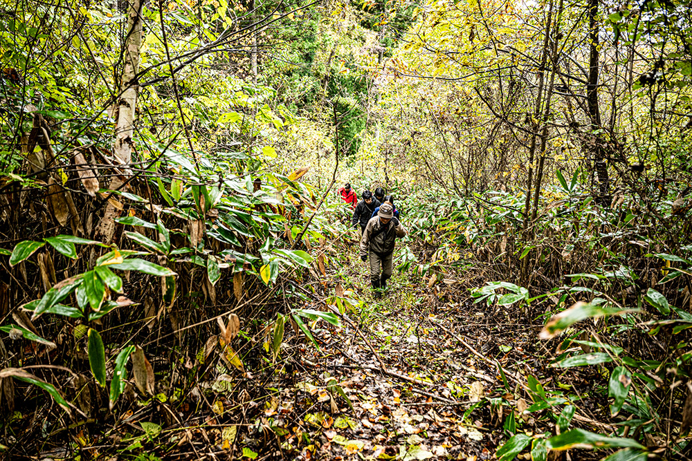 朝６時に集合して山へ