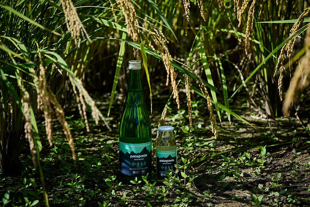 パタゴニア プロビジョンズの自然酒「やまもり」が指し示す、これからの米作り・酒造り