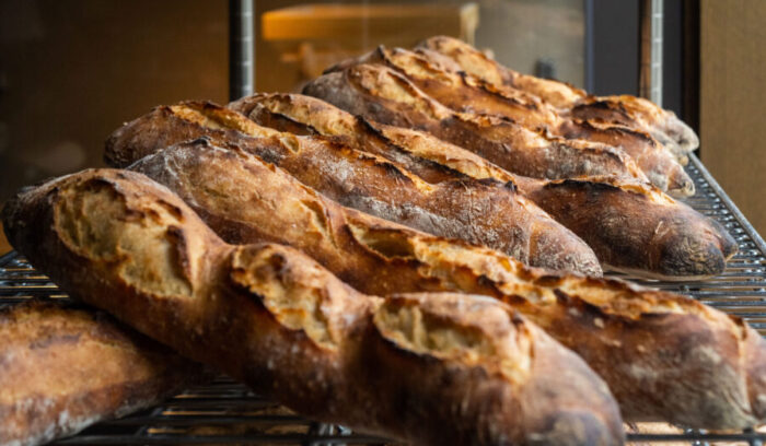 北海道と本州・九州の小麦は、なぜ違う？ゲノムが語る、国産小麦の“設計図”