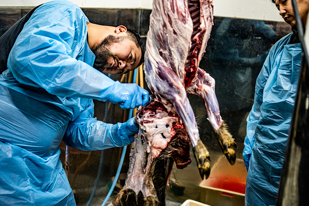 できるだけ脂を残すように皮を剥ぐ