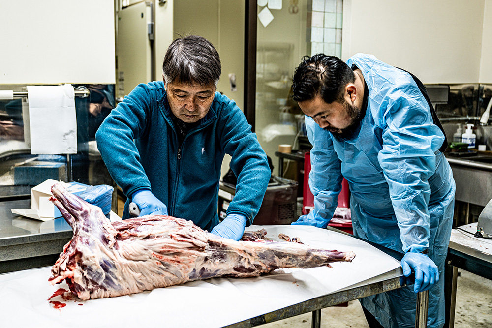 作業台の上に吸水性の高い紙を敷く