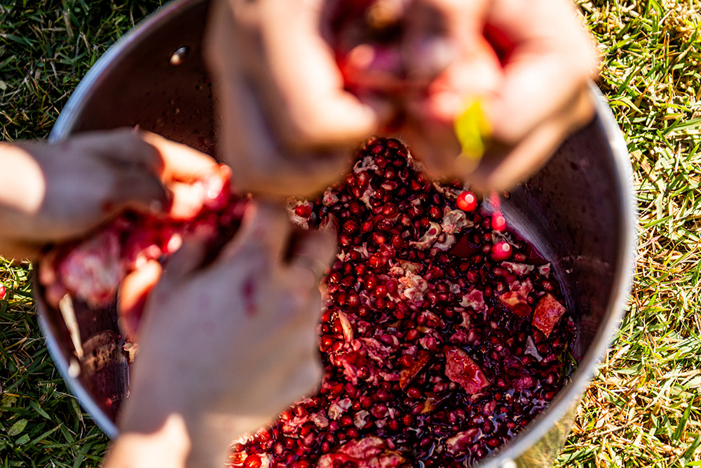 ザクロの実を潰して作った即席のソース