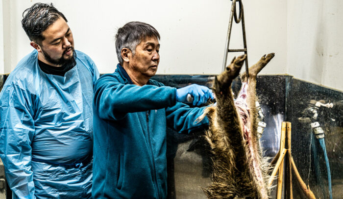 【シェフたちの森グルメ】達人に学ぶジビエとの向き合い方