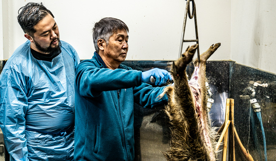 【シェフたちの森グルメ】達人に学ぶジビエとの向き合い方