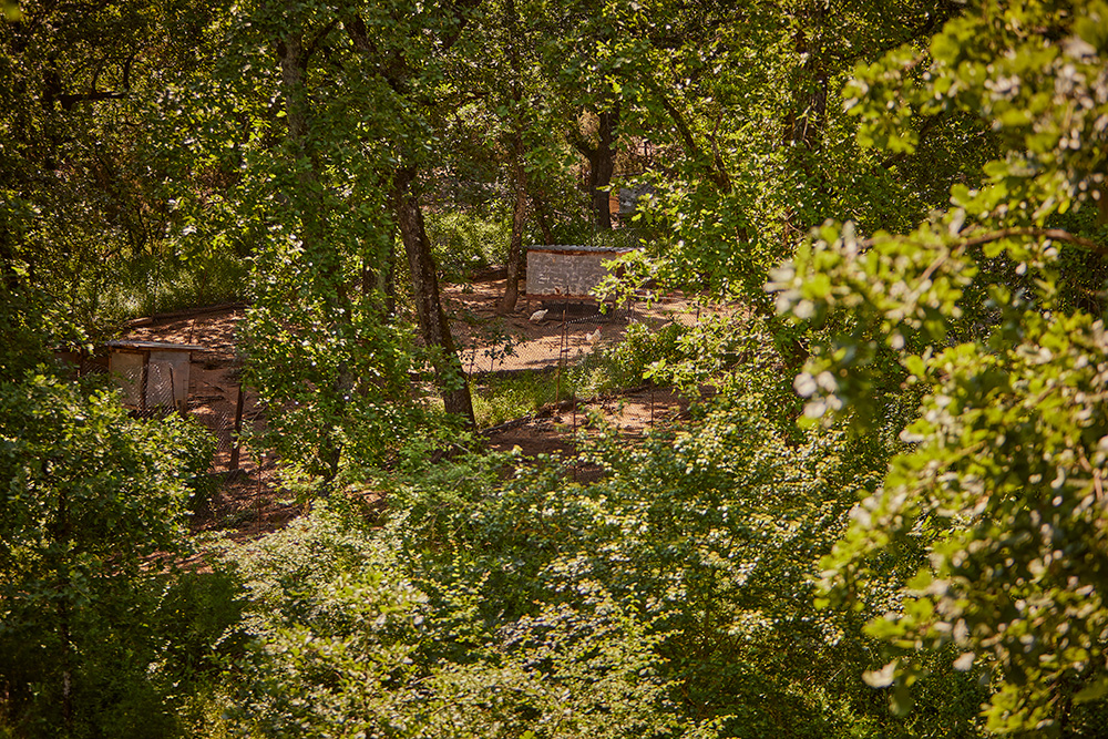 トスカーナ州の中央、アレッツォ県のヴァルダルノ渓谷上部ヴァルダルノ・スーペリオーレ