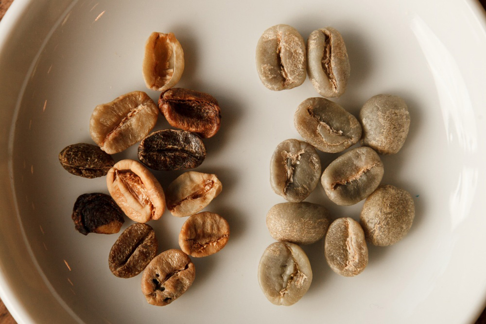 ［１］欠損豆を取り除く（ハンドソーティング）