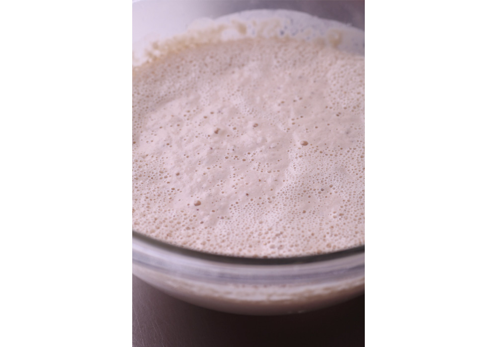 ［２］発酵させる