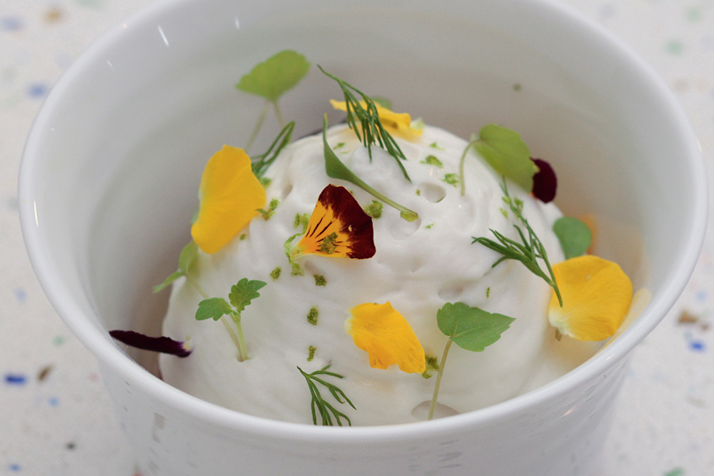 東南アジアのハーブが香るヴィーガン・ミルクスイーツ「パンナ・ココ」