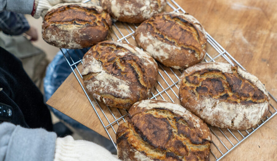 東北から始まる、リアルブレッドの新しい地図。『宮城麦人』という試み