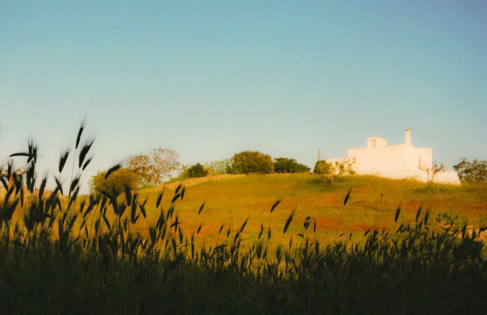 プーリア州中部