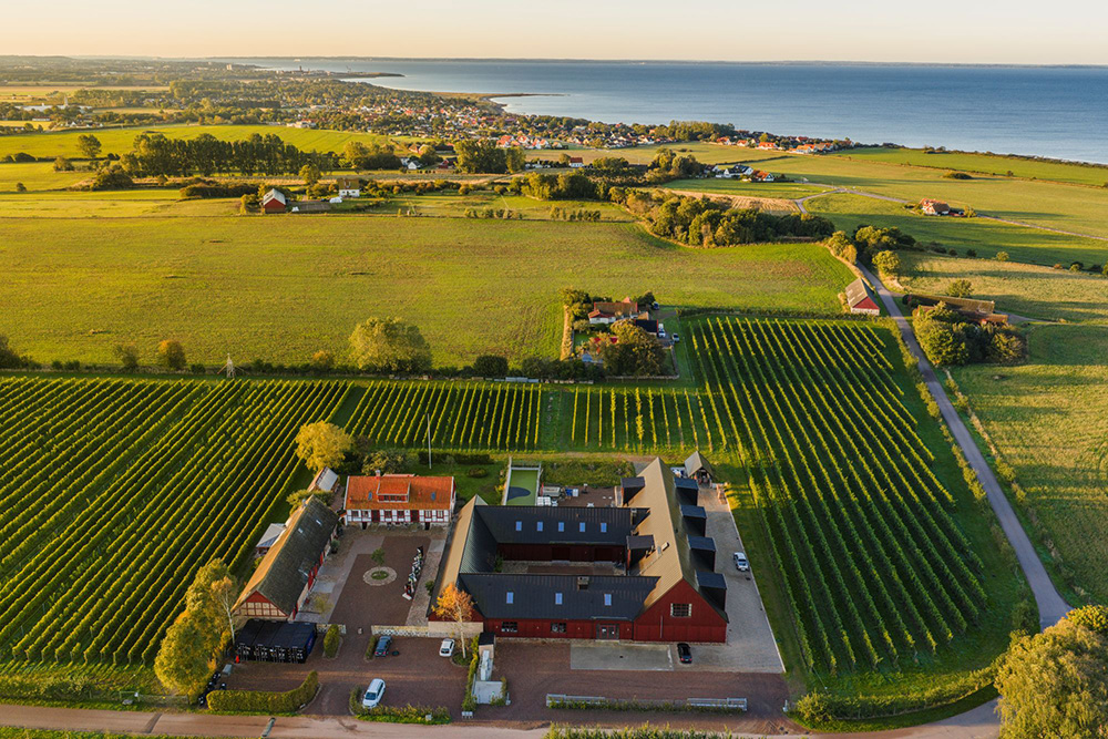 キューラベリィス・ヴィンゴード上空から