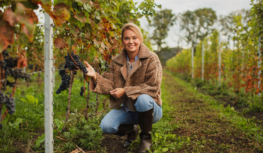 北欧の気候を逆手に。今、スウェーデンワインが熱い！