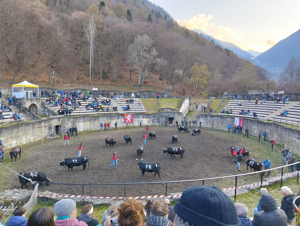 トーナメント会場