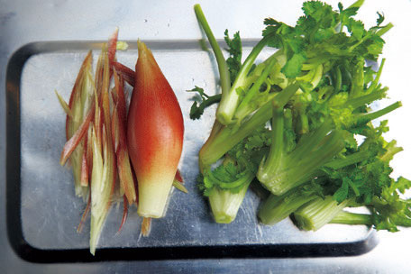 香菜