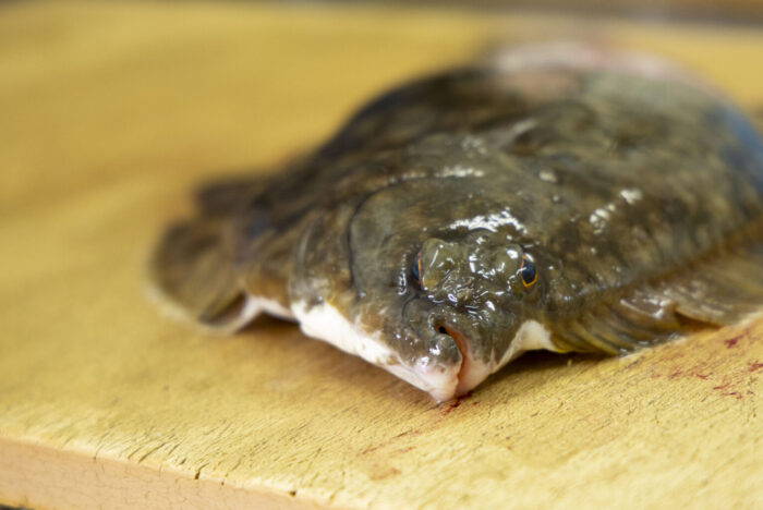 「手当」の技術で、魚の未来はもっと拓ける。命をつなぐ魚屋「塩谷魚店」<br />
